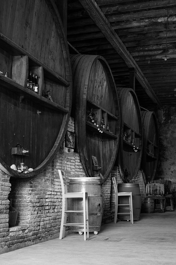 2021-03-29_Shooting_Eclat-Celeste_©CharlottePicouilla_Cave-Tautavel Visite, dégustation, vente de vin à Tautavel.