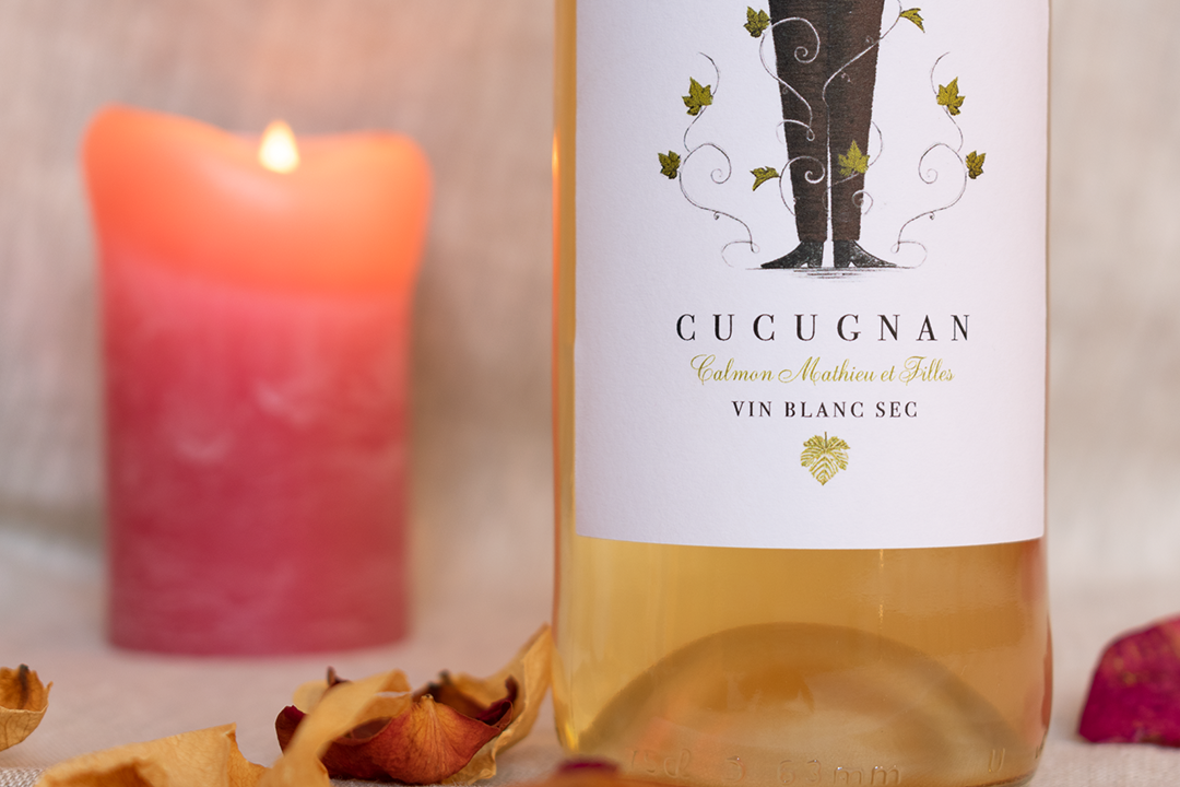 032022_Etiquette-Vin-Blanc-Sec-Détails_domainecalmonmathieuetfilles Bourgeon sur sarment de vigne.