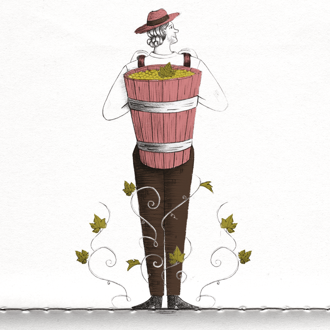 032022_Etiquette-Vin-Blanc-Sec-Illustration_domainecalmonmathieuetfilles
