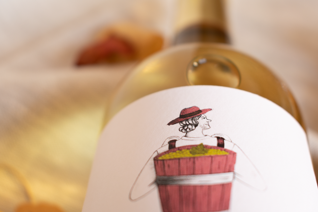 032022_Etiquette-Vin-Blanc-Sec-Vigneron_domainecalmonmathieuetfilles Visite, dégustation, vente de vin à Tautavel.