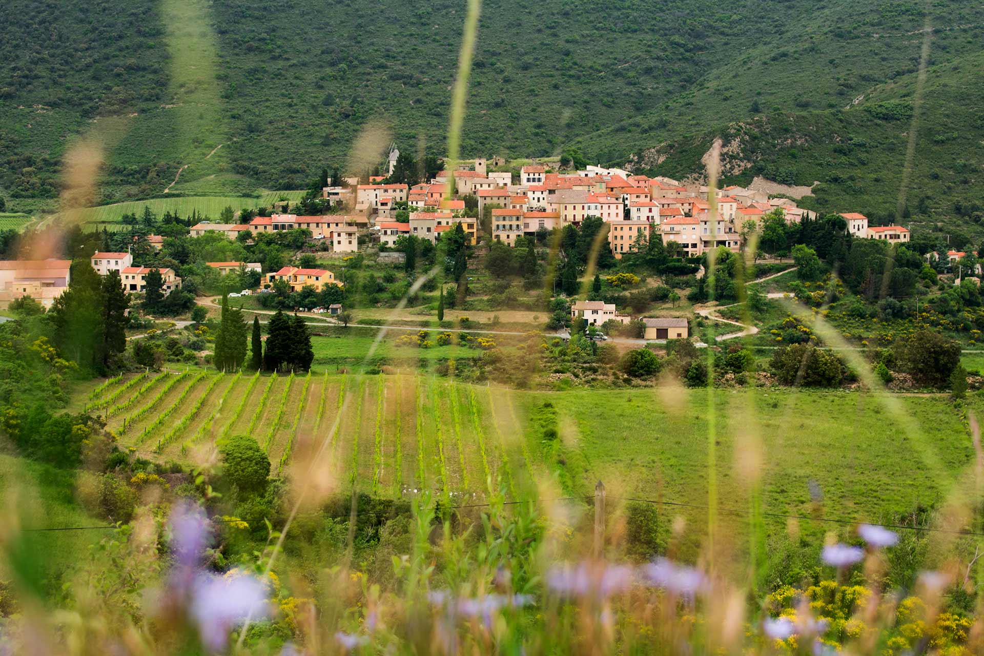 Photo du village de Cucugnan.