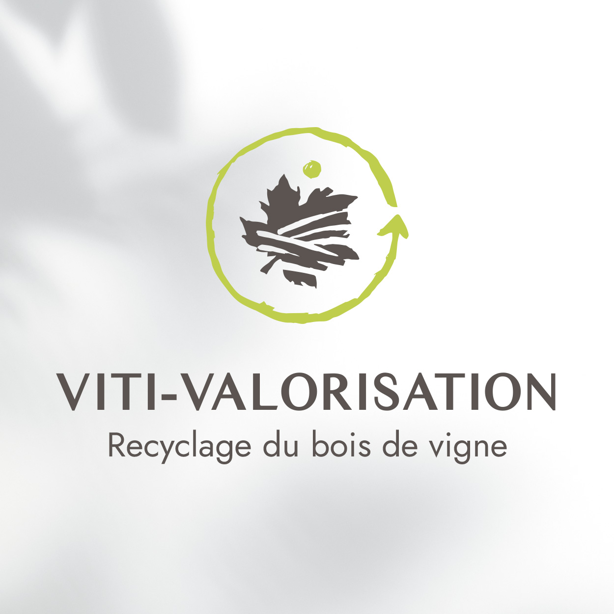 112024_Logo-Couleur_VitiValorisation Nouvelle identité visuelle pour VitiValorisation.